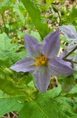 Enlarge photo 72