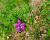 Enlarge photo 76