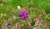 Enlarge photo 81