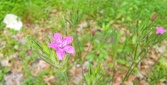 Enlarge photo 80