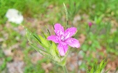 Enlarge photo 84
