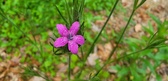 Enlarge photo 86