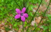 Enlarge photo 87