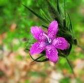 Enlarge photo 89