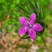 Enlarge photo 90
