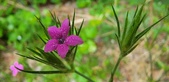 Enlarge photo 94
