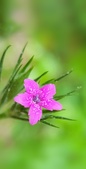 Enlarge photo 96