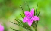 Enlarge photo 97