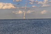 Enlarge photo 49