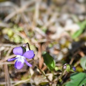 Enlarge photo 53