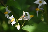 Enlarge photo 117