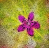 Enlarge photo 109