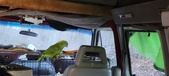 Enlarge photo 112