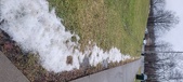 Enlarge photo 127