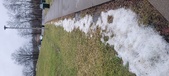 Enlarge photo 128