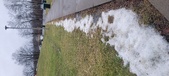 Enlarge photo 129