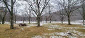 Enlarge photo 135