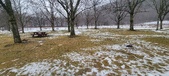 Enlarge photo 136