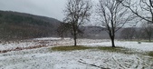 Enlarge photo 137