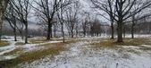 Enlarge photo 139