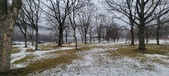 Enlarge photo 140