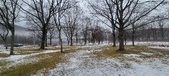 Enlarge photo 141