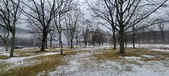 Enlarge photo 142