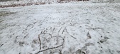Enlarge photo 144