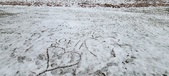 Enlarge photo 145