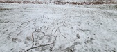 Enlarge photo 146