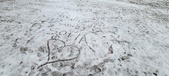 Enlarge photo 147