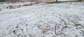 Enlarge photo 150