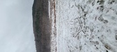 Enlarge photo 151