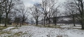 Enlarge photo 86