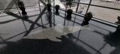 Enlarge photo 229