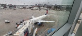 Enlarge photo 233