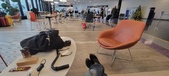Enlarge photo 272