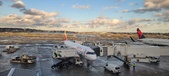 Enlarge photo 277