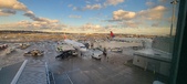 Enlarge photo 280