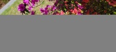 Enlarge photo 88