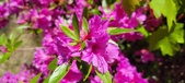 Enlarge photo 76