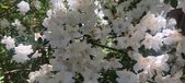 Enlarge photo 63