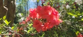 Enlarge photo 62