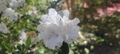 Enlarge photo 59