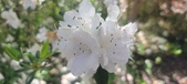 Enlarge photo 58