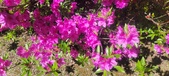 Enlarge photo 57