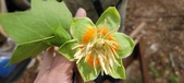 Enlarge photo 54