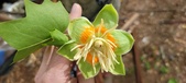 Enlarge photo 52