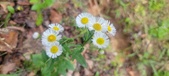 Enlarge photo 39