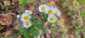 Enlarge photo 40